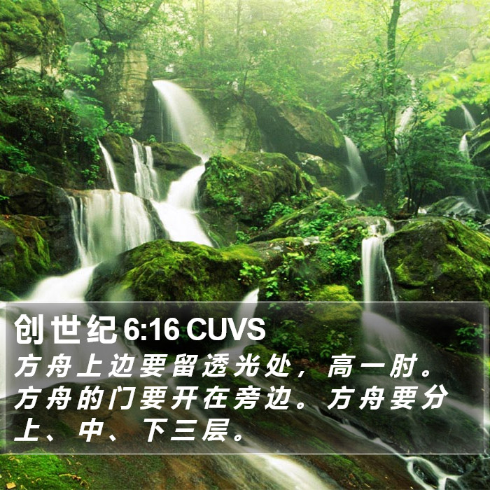 创 世 纪 6:16 CUVS Bible Study