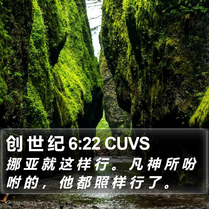 创 世 纪 6:22 CUVS Bible Study