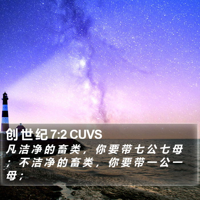 创 世 纪 7:2 CUVS Bible Study