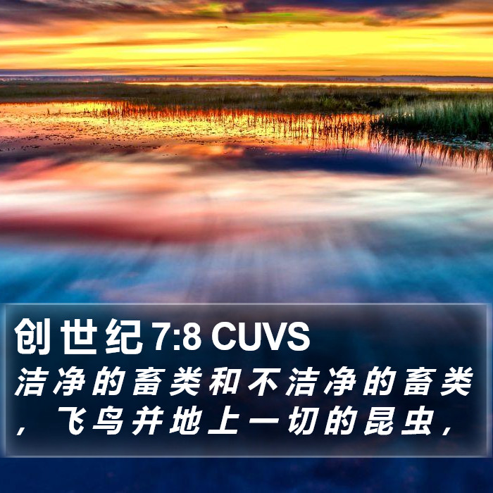 创 世 纪 7:8 CUVS Bible Study