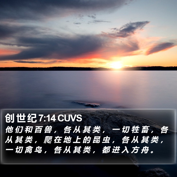 创 世 纪 7:14 CUVS Bible Study