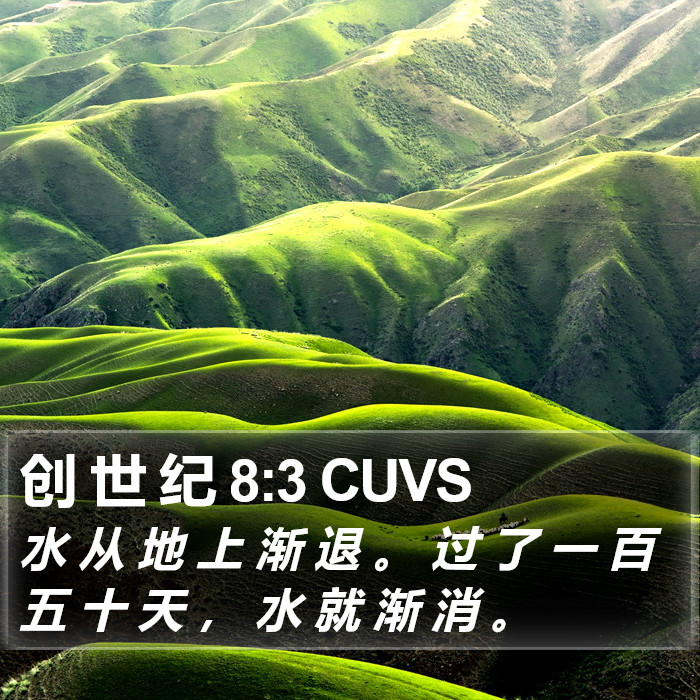 创 世 纪 8:3 CUVS Bible Study