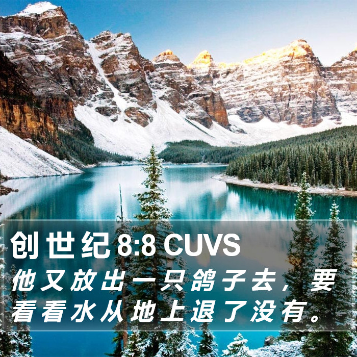 创 世 纪 8:8 CUVS Bible Study