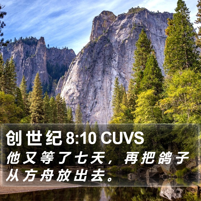 创 世 纪 8:10 CUVS Bible Study