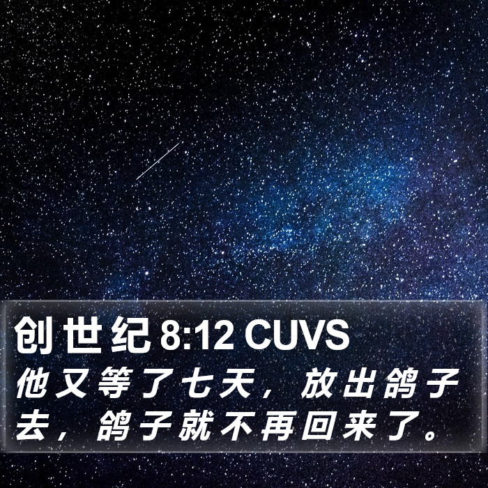 创 世 纪 8:12 CUVS Bible Study
