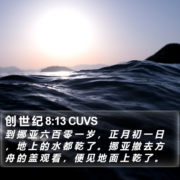 创 世 纪 8:13 CUVS Bible Study