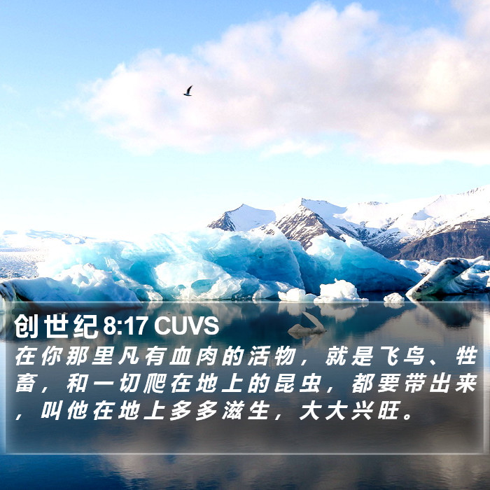 创 世 纪 8:17 CUVS Bible Study