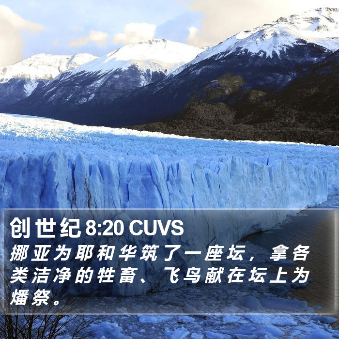 创 世 纪 8:20 CUVS Bible Study