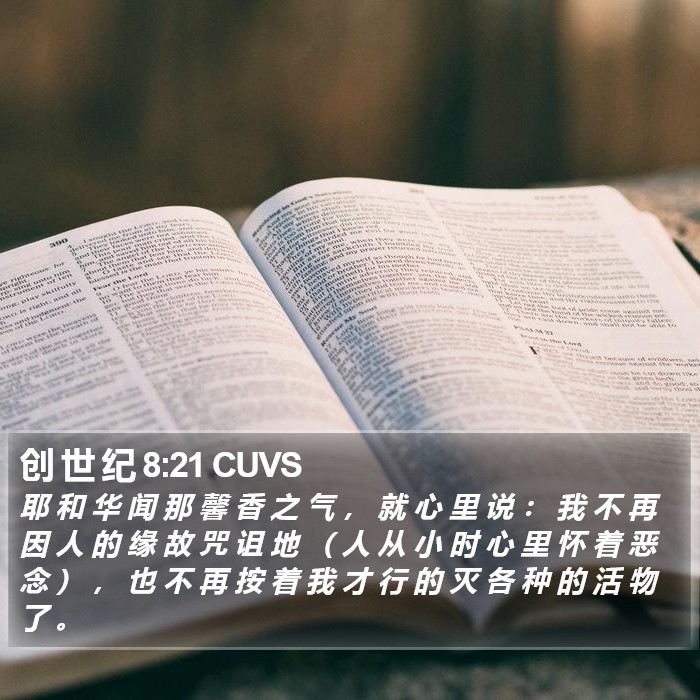 创 世 纪 8:21 CUVS Bible Study