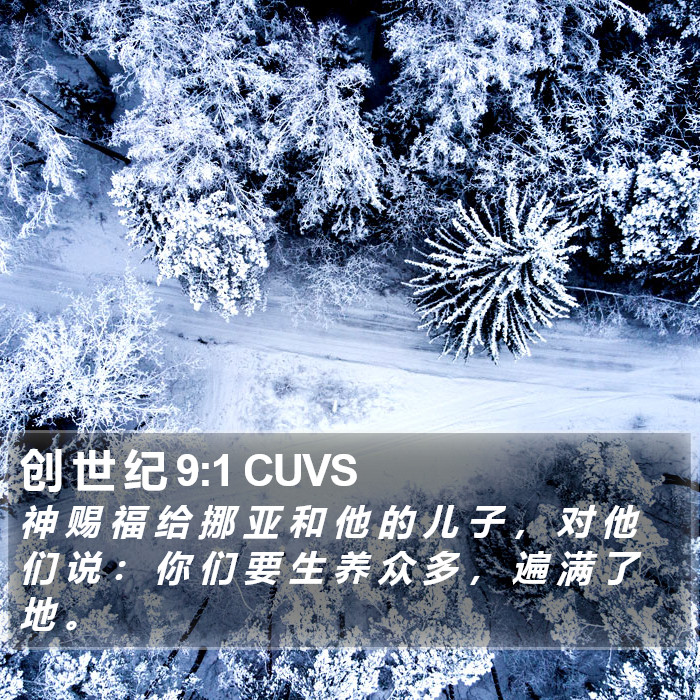 创 世 纪 9:1 CUVS Bible Study