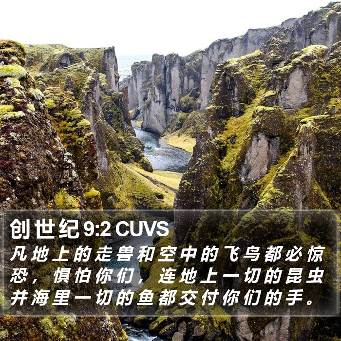 创 世 纪 9:2 CUVS Bible Study