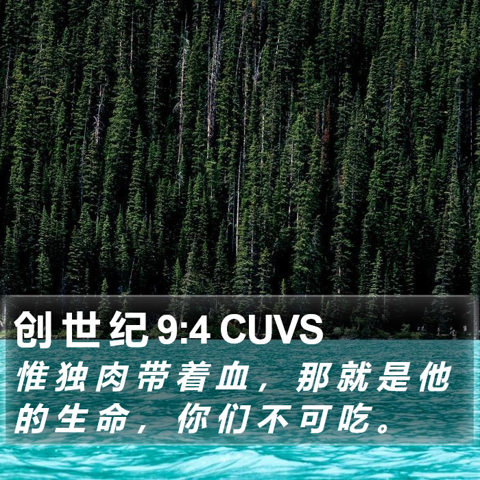 创 世 纪 9:4 CUVS Bible Study