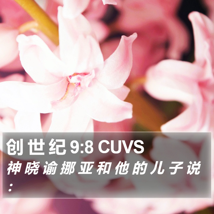 创 世 纪 9:8 CUVS Bible Study