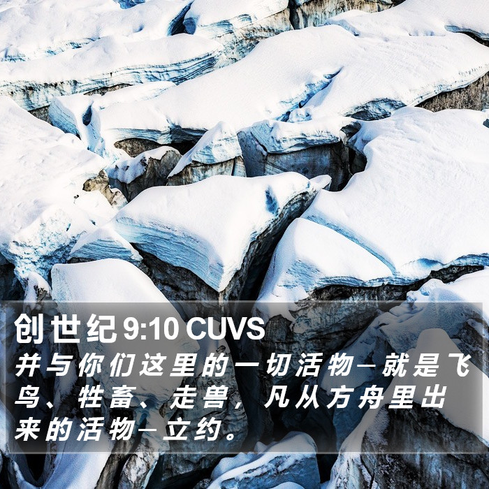 创 世 纪 9:10 CUVS Bible Study