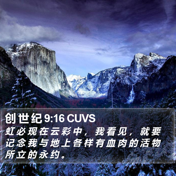 创 世 纪 9:16 CUVS Bible Study