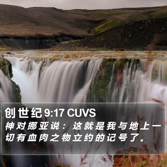 创 世 纪 9:17 CUVS Bible Study
