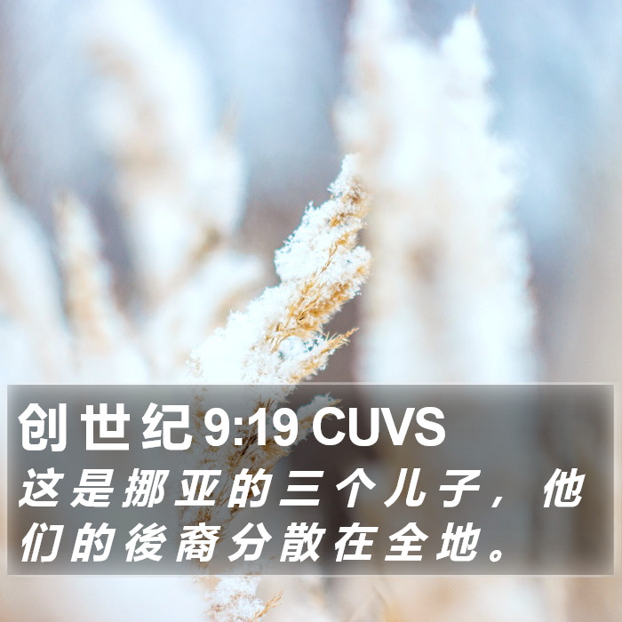 创 世 纪 9:19 CUVS Bible Study