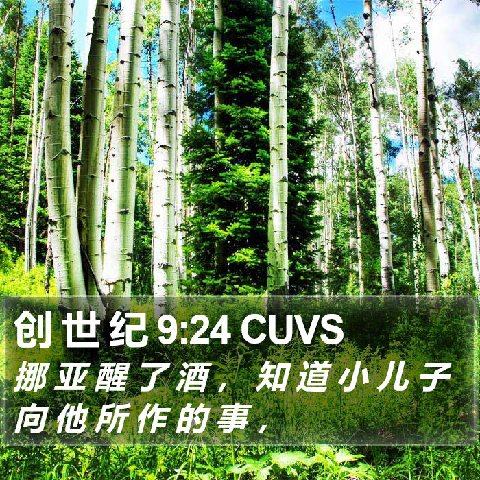 创 世 纪 9:24 CUVS Bible Study