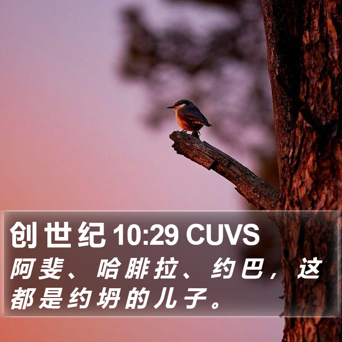 创 世 纪 10:29 CUVS Bible Study