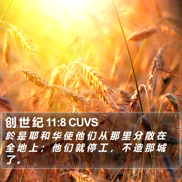 创 世 纪 11:8 CUVS Bible Study