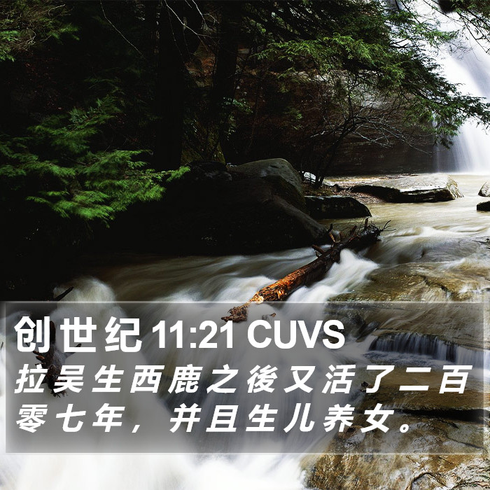 创 世 纪 11:21 CUVS Bible Study
