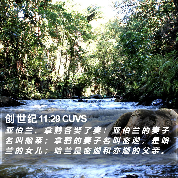 创 世 纪 11:29 CUVS Bible Study
