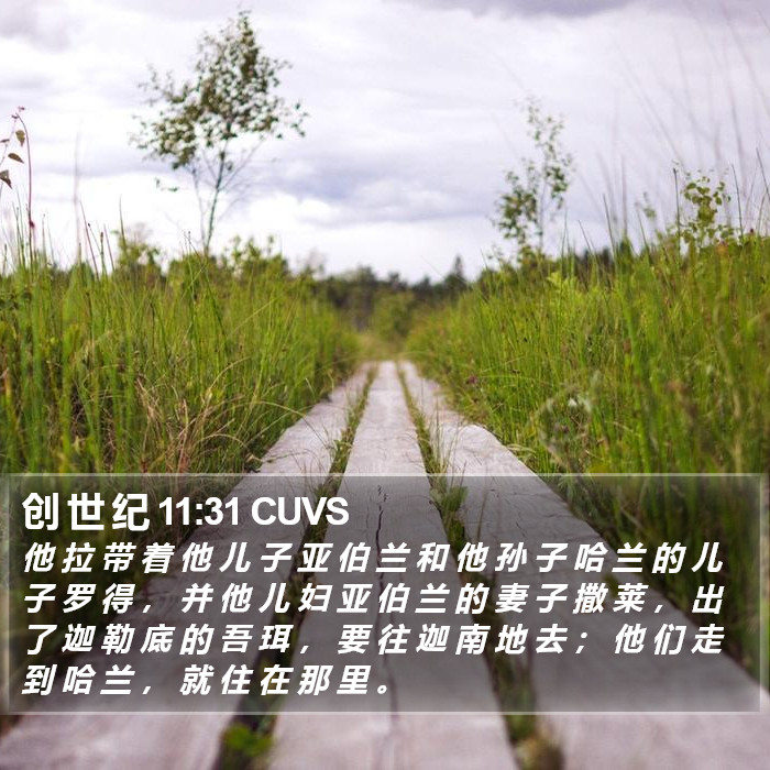 创 世 纪 11:31 CUVS Bible Study