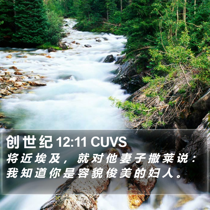 创 世 纪 12:11 CUVS Bible Study
