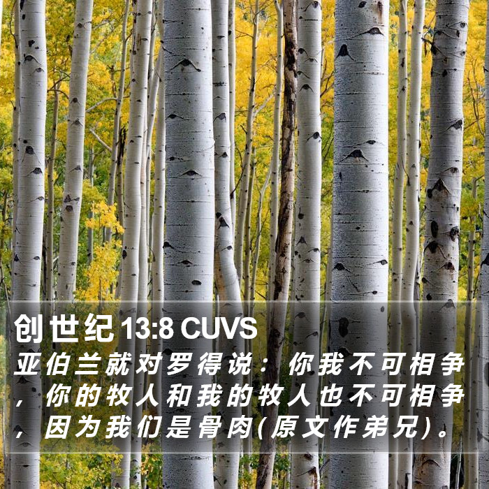 创 世 纪 13:8 CUVS Bible Study