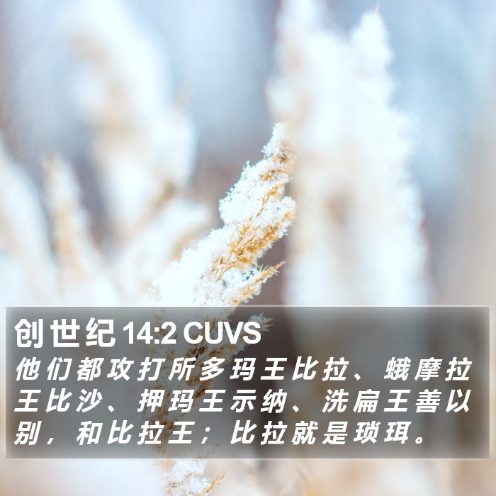 创 世 纪 14:2 CUVS Bible Study