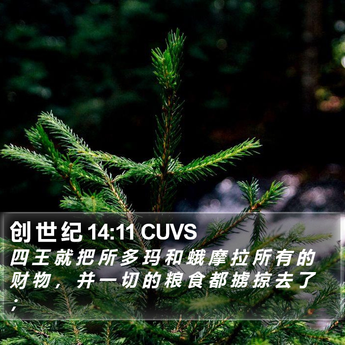 创 世 纪 14:11 CUVS Bible Study