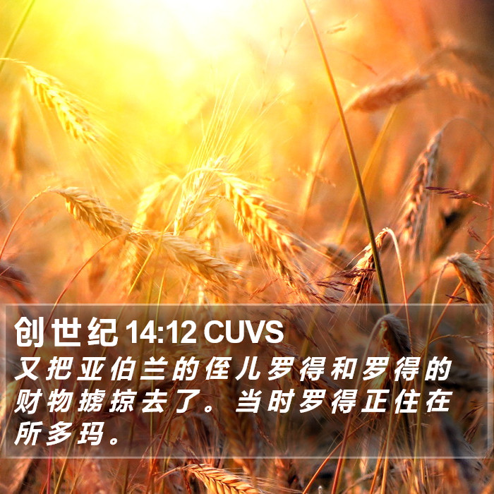 创 世 纪 14:12 CUVS Bible Study