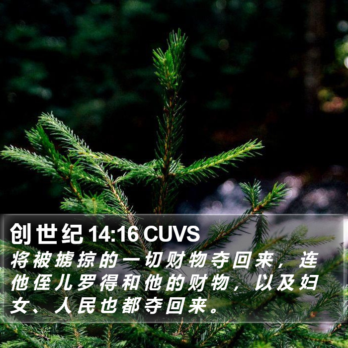 创 世 纪 14:16 CUVS Bible Study