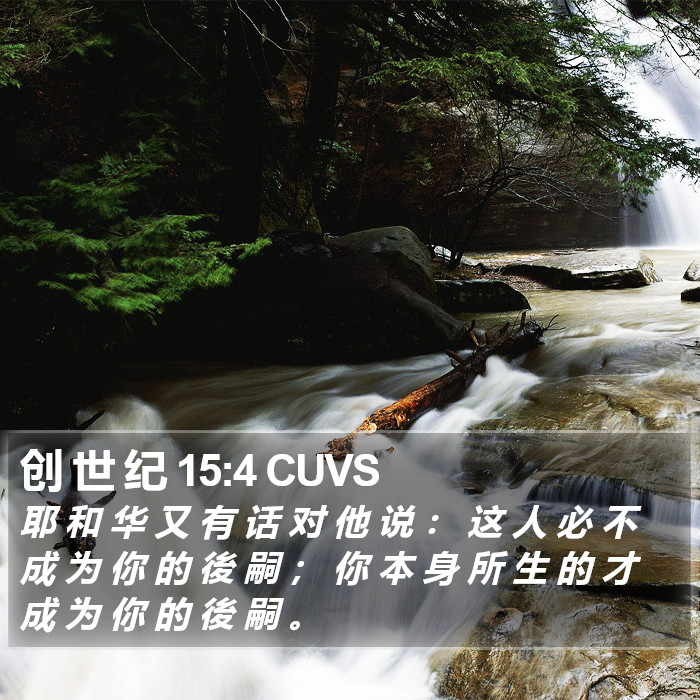 创 世 纪 15:4 CUVS Bible Study