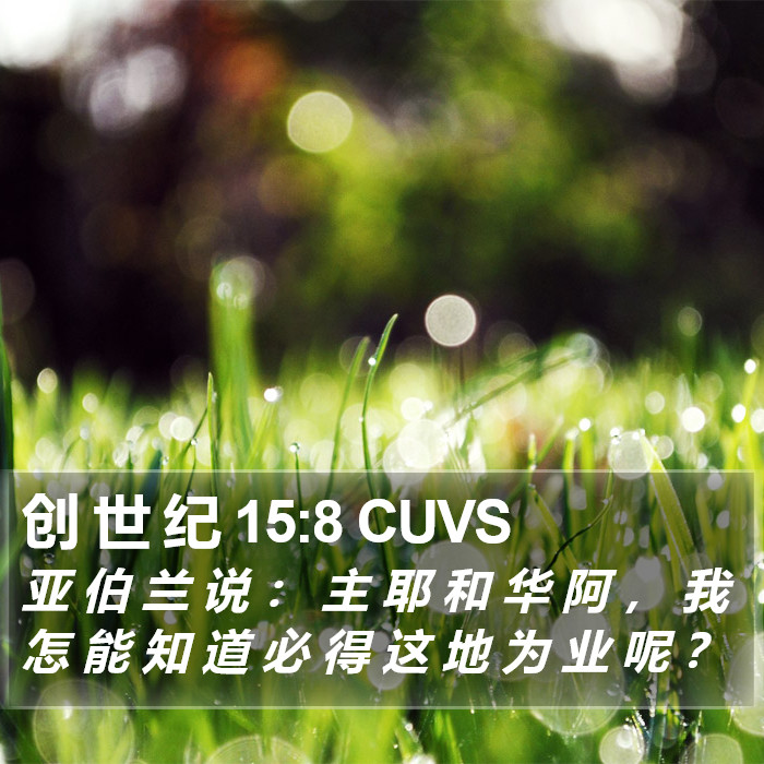 创 世 纪 15:8 CUVS Bible Study
