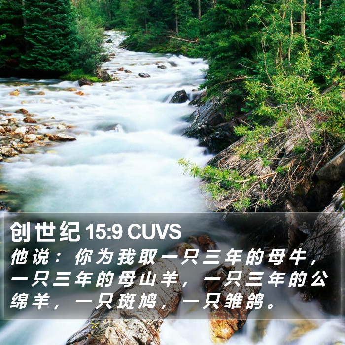 创 世 纪 15:9 CUVS Bible Study