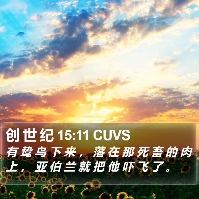 创 世 纪 15:11 CUVS Bible Study