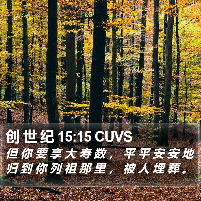 创 世 纪 15:15 CUVS Bible Study