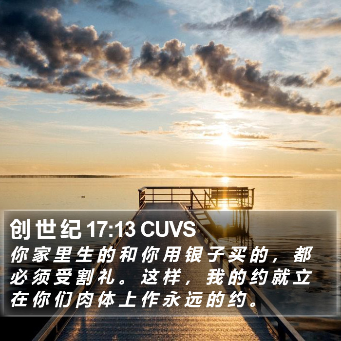 创 世 纪 17:13 CUVS Bible Study