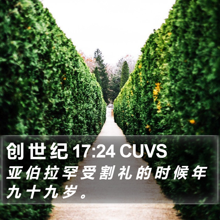创 世 纪 17:24 CUVS Bible Study