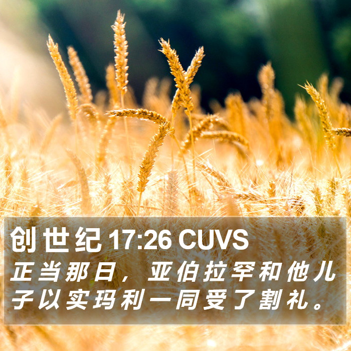 创 世 纪 17:26 CUVS Bible Study