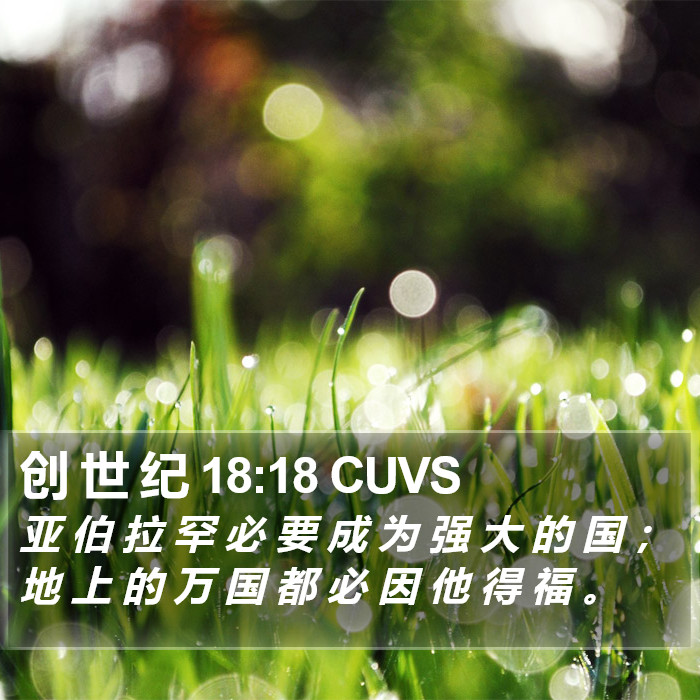 创 世 纪 18:18 CUVS Bible Study