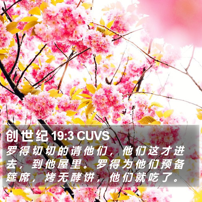 创 世 纪 19:3 CUVS Bible Study