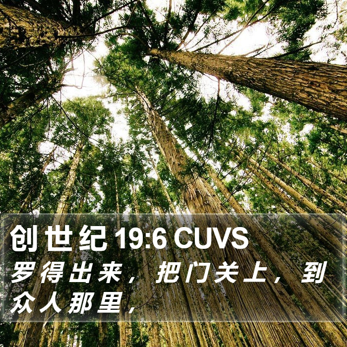 创 世 纪 19:6 CUVS Bible Study