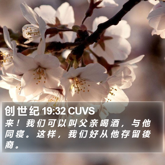 创 世 纪 19:32 CUVS Bible Study