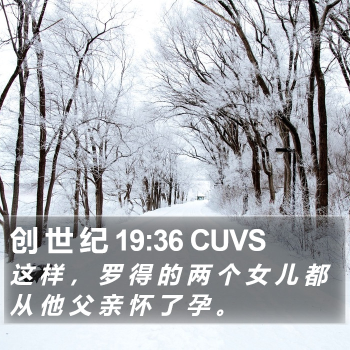 创 世 纪 19:36 CUVS Bible Study