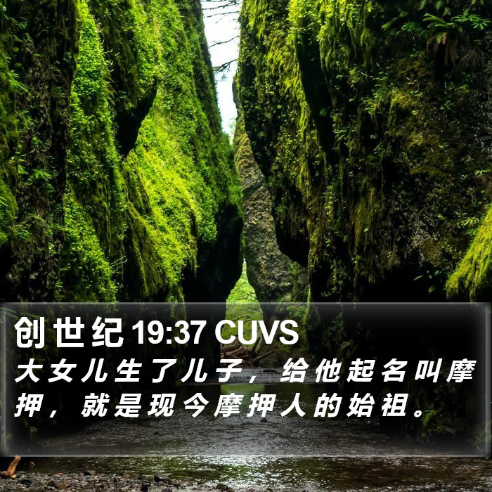 创 世 纪 19:37 CUVS Bible Study