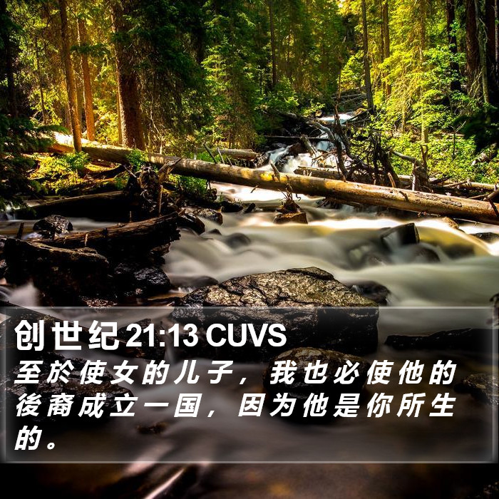 创 世 纪 21:13 CUVS Bible Study