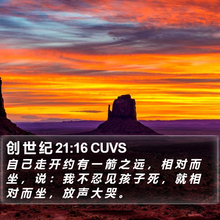 创 世 纪 21:16 CUVS Bible Study