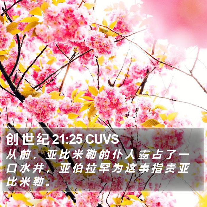 创 世 纪 21:25 CUVS Bible Study